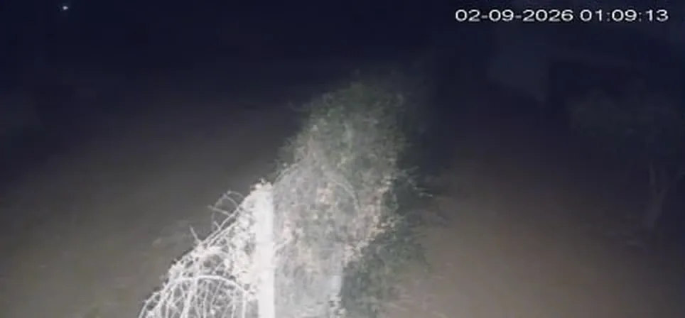 Ripresa notturna di una telecamera di altri installatori: immagine scura o in bianco e nero, dettagli poco leggibili