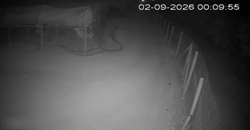 Ripresa notturna di una telecamera di altri installatori: immagine scura o in bianco e nero, dettagli poco leggibili