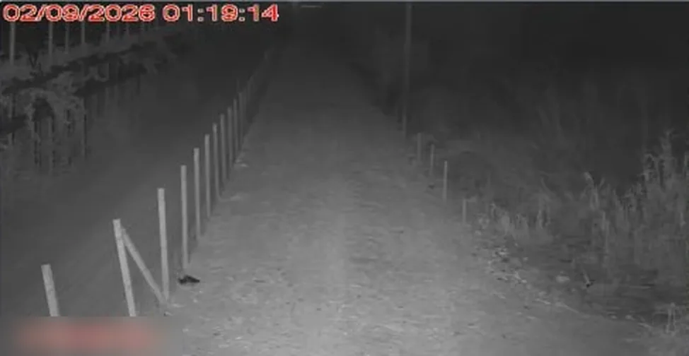 Ripresa notturna di una telecamera di altri installatori: immagine scura o in bianco e nero, dettagli poco leggibili