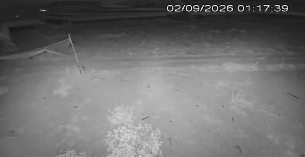 Ripresa notturna di una telecamera di altri installatori: immagine scura o in bianco e nero, dettagli poco leggibili