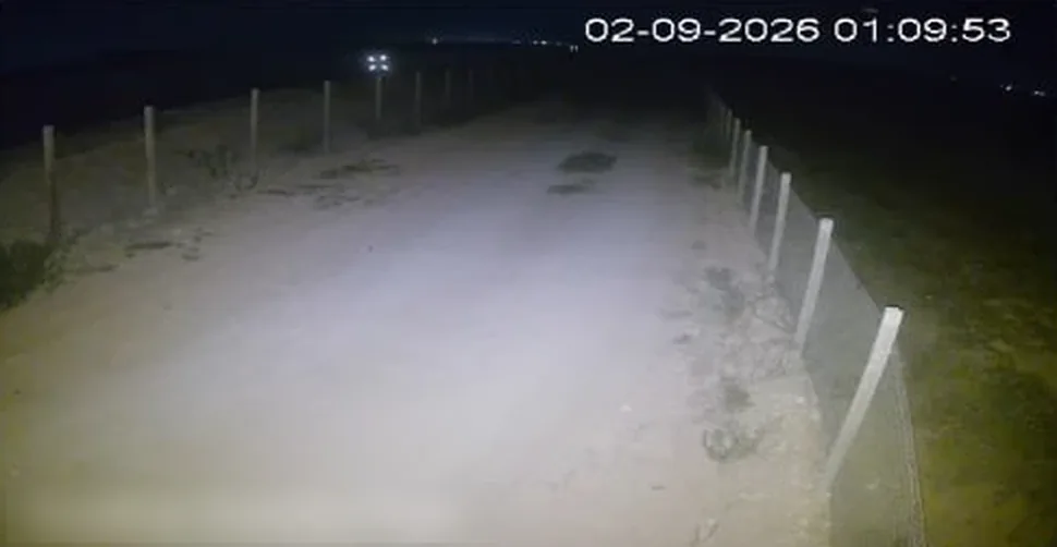 Ripresa notturna a colori di una telecamera Zerogrid: strada, recinzione e serre ben distinguibili
