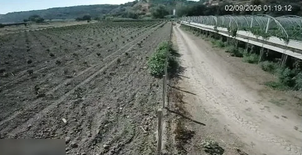 Ripresa notturna a colori di una telecamera Zerogrid: strada, recinzione e serre ben distinguibili