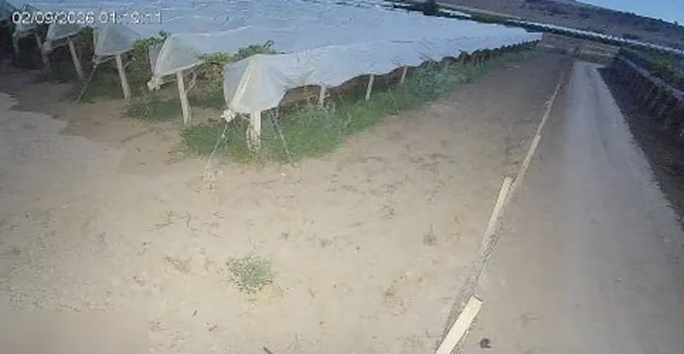 Ripresa notturna a colori di una telecamera Zerogrid: strada, recinzione e serre ben distinguibili